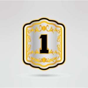 Cinturón de Campeonato de Lucha Libre Personalizado con Logotipo, Correa Negra, Cuatro Placas Laterales, Placa Central Dorada - Equipamiento Completo - Product Image 4