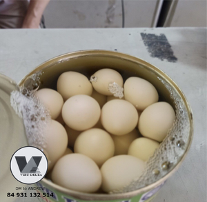 HIGH QUALITY Bulk Eco Canned Quail <b>Eggs</b> in Brine Tinned Peeled Quail <b>Egg</b> Ready to Eat for Asian Hotpot Soup Baozi Braised Meats - Product Image 6