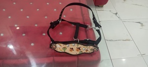 Harnais de cheval en cuir sur le thème d'Halloween personnalisé, robuste et réglable, équipement durable, prêt à être expédié - Product Image 3