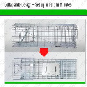 Piège à petits animaux efficace, cage de 24 x 8 x 8 pouces pour rats, chatons et ratons laveurs - Product Image 4