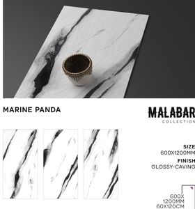 Azulejos de porcelana brillantes con diseño contemporáneo de 60x120 mm para uso en paredes y suelos (S) - Product Image 4