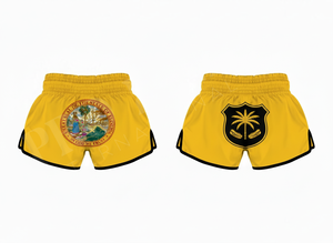 Vêtements d'arts martiaux, shorts de compétition de Muay Thai, dernières conceptions brodées personnalisées, shorts de kickboxing - Product Image 5