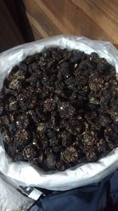 Fruits de Noni séchés de qualité supérieure – Noni naturel, propre, séché au soleil et sans produits chimiques // Mr.Tom - Product Image 3