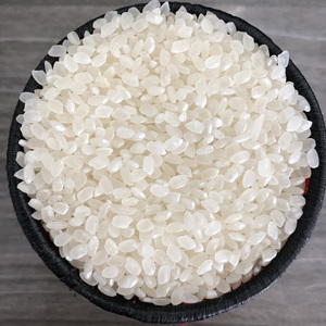 Arroz Calrose Blanco de Grano Corto 100% Natural, Saludable y de Alta Calidad, Textura Firme, Estándar de Exportación OEM, 10kg 25kg 50kg - Product Image 4