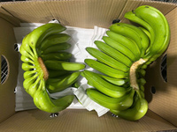 Vietnam Geteelde Cavendish Bananen Met Gladde Gele Schil Zoete Smaak Ideaal Voor Winkelketens Groothandel En Wereldwijde Verzending