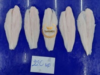 Filete de marisco Pangasius TAKIMEX, fabricante de filete de bagre congelado Hypophthalmus Pangasius 100%, materiales frescos, estándar de la UE