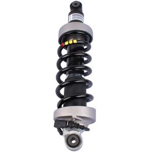 Audi R8 D 2007-2015 Rear Air Shock Absorber 420512019AG & 420512020Q Product Line - Product Image 5