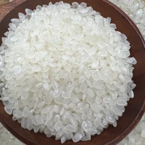 Arroz Calrose y Japonica para Sushi, Arroz Blanco Mediano Australiano - Cosecha Reciente de Vietnam - Venta al por Mayor de la Fábrica de Arroz VILACONIC - Product Image 4