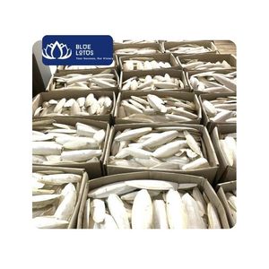 [MEJOR VENDIDO] Hueso de Sepia Natural Blue Lotus para Aves de Jaula - Alimento para Masticar, Tamaños de 3-15 cm, Empaque en Caja, Nutritivo, Vietnam - Product Image 1