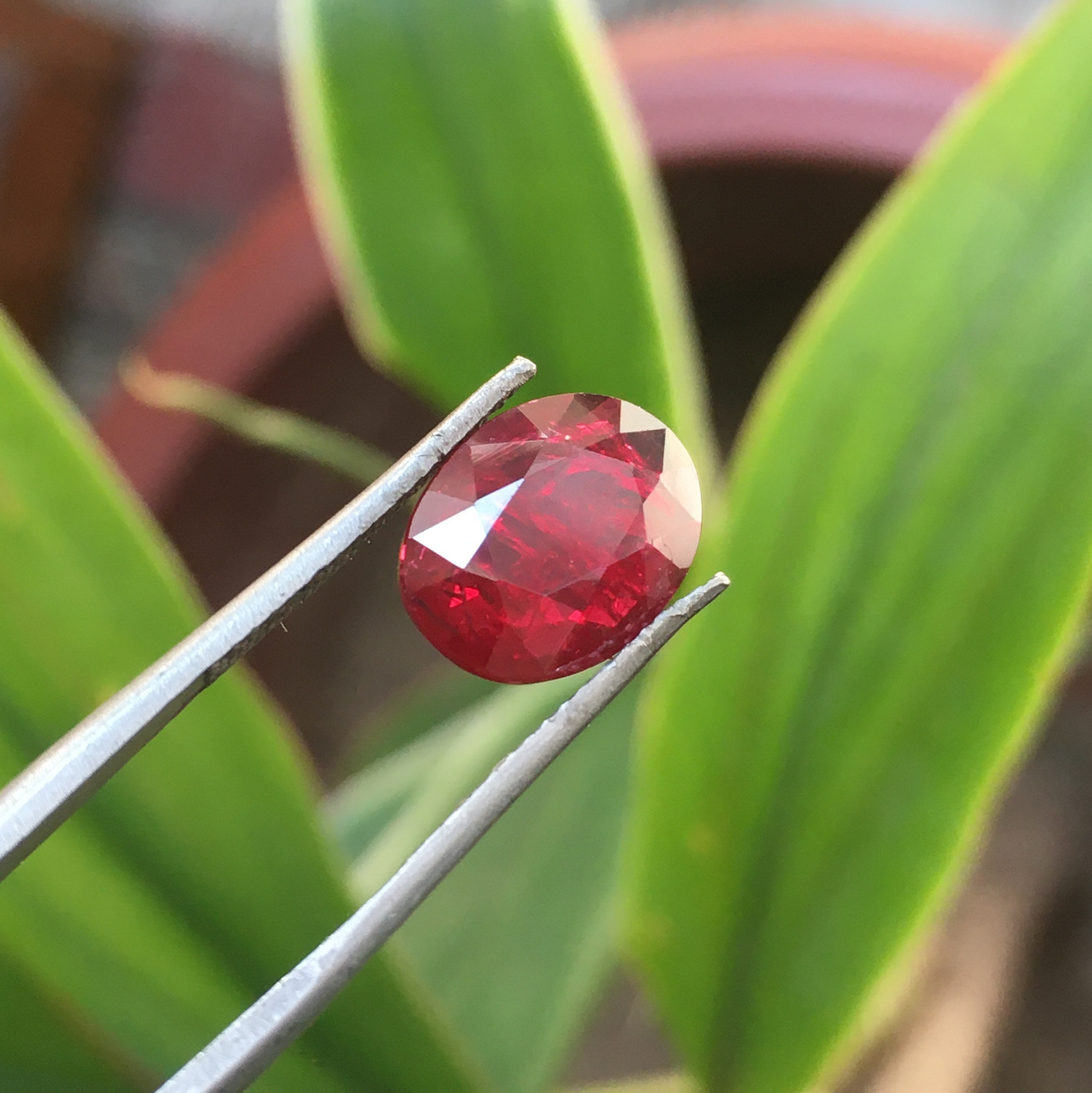 6,90 CT. COUSSIN de sang de pigeon rubis rouge naturel en forme de