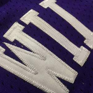 Camiseta de Baloncesto Retro de Sacramento, Estilo Clásico, Tejido de Malla, Números 55 Williams, 16 Stojakovic, 10 Bibby, Personalizable, Tallas Grandes Disponibles - Product Image 4