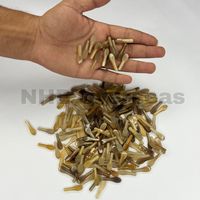 Pointes de corne de buffle blanches claires pour la fabrication de montures de lunettes de haute qualité, composants naturels pour lunettes NHE Overseas