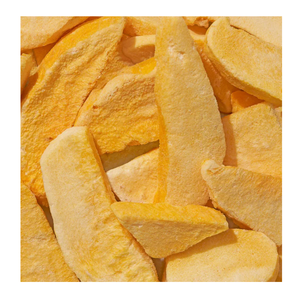 Fábrica de Mango Liofilizado de Vietnam que Suministra Mango de Grado Alimenticio para Snacks, Repostería, Smoothies y como Adorno - Product Image 2