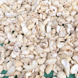 Noix de cajou en gros de haute qualité W240, noix de cajou en vrac exportées vers l'Asie, l'UE, le Moyen-Orient depuis Santiago - Product Image 1