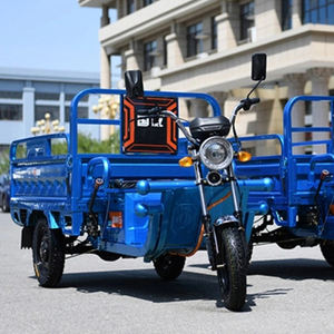 Triciclo eléctrico de 3 ruedas 2024, triciclos de carga para adultos, coche con certificado CE barato - Product Image 6