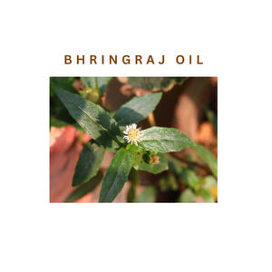 Versatile Bhringraj Oil for Hair Care Blends Cosmetic Formulations Personal Care Products Botanical Manufacturing and Profession - Product Image 4