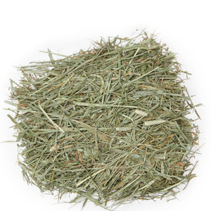 Heno de Timothy de primera calidad para alimentación animal, heno de alfalfa/timothy/alfalfa en venta - Product Image 4