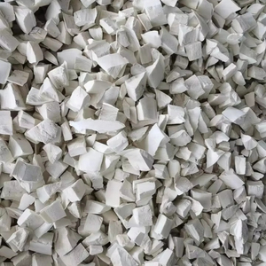 Hueso de Sepia Seco de Gran Tamaño para Loros y Aves Exóticas - Product Image 1