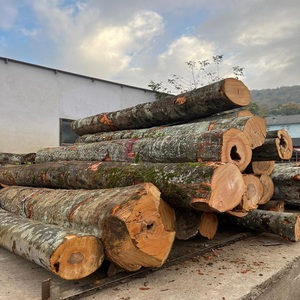 Venta al por Mayor de Madera Dura de Teca Personalizada/Troncos de Madera de Eucalipto en Oferta con Precio Económico para el Mercado Mundial - Product Image 2