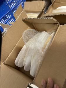 Polvo de hueso de sepia de alta calidad de exportación/hueso de sepia seco/hueso de sepia triturado de Vietnam Ms Lily - Product Image 4