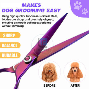 Ciseaux de toilettage pour animaux de compagnie en acier inoxydable de haute qualité à prix avantageux, durables, écologiques, pour chats et chiens - Product Image 3
