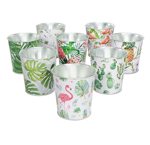 Maceta galvanizada Para hierbas, maceta y maceta, regalo cálido para el corazón de vacaciones para decoración interior y exterior personalizable - Product Image 1