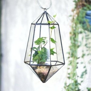 Modern Gold Metal Glass Plant <b>Terrarium</b> High Quality Luxury Design <b>for</b> Home Restaurant Hotel Decorations Vase Cheap Price <b>Sale</b> - Product Image 6
