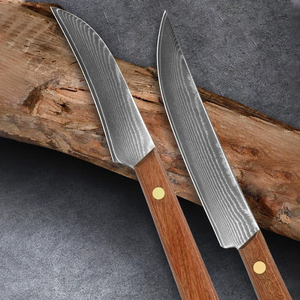 Cuchillo de Cocina de Acero de Damasco, Cuchillo para Pelar Frutas, Cuchillo Afilado para Cortar Carne y Verduras, Herramienta de Cocina Ligera y Fácil de Usar - Product Image 5