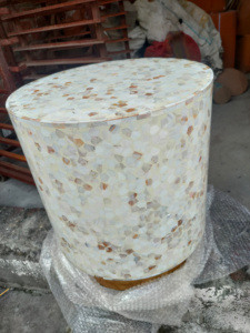 Mesa de Centro Redonda Moderna con Incrustaciones de Concha, Hecha a Mano, Duradera y Elegante, Muebles para el Hogar de la India - Product Image 6