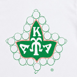T-shirt blanc Ivy pour femme, manches courtes, imprimé graphique, col rond, décontracté, en coton doux, inspiré des sororités, mode estivale, pour tous les jours - Product Image 6