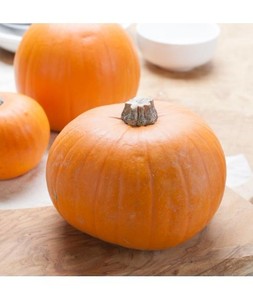 Calabaza Deshidratada al por Mayor – Calabaza Seca Natural, Alta Calidad // Mr.Tom - Product Image 2