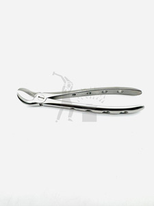 Forceps d'extraction dentaire manuels en acier inoxydable de qualité médicale Fig. 23 Poignées ergonomiques en corne de vache réutilisables de qualité supérieure - Product Image 4