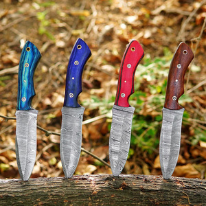 Couteau de chasse et de camping à lame fixe en acier Damas OEM personnalisé avec manche en bois coloré et lame pleine longueur, idéal pour les activités de plein air - Product Image 1