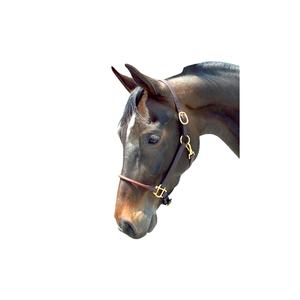 บังเหียนม้าหนังแท้ทรงกลมแบบใหม่ รุ่นแฟนซี  บังเหียนม้าหนังสีน้ำตาล / บังเหียนพร้อมสายจูงทองเหลืองแบบพับได้ - Product Image 1