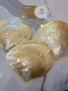 PLAT EN COQUILLE ARC-EN-CIEL POLI À LA MAIN JAUNE |   PIÈCE D'ART NATURELLE EXQUISITE |   Vaisselle haut de gamme écologique - Product Image 2