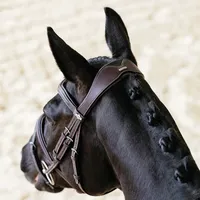 Bridon en cuir de cheval de qualité supérieure avec rênes, robuste, durable et confortable, équipement d'équitation pour l'entraînement et la compétition