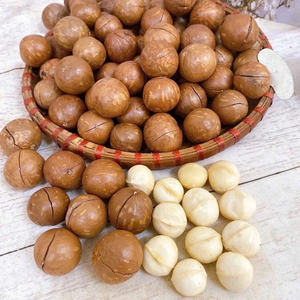 Wholesale Low Fat Health Snacks Milky Flavor Macadamia <b>Nuts</b> Delicious Roasted Macadamia <b>Kernel</b> - Product Image 5