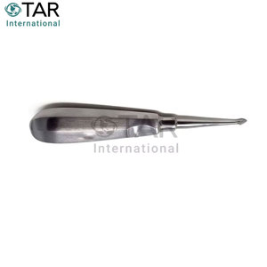 Élévateur dentaire à pointe spatulée ELE 0063 pour l'extraction des racines molaires, instrument chirurgical médical à manche creux en acier inoxydable pour implants - Product Image 5