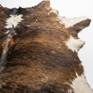 Piel de vaca seca premium, cuero natural de piel de vaca seca para artesanías de cuero hechas a mano y producción de artículos de cuero al mejor precio. - Product Image 4