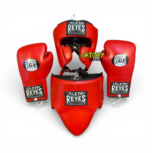 Set de Entrenamiento de Boxeo con Guantes, Almohadillas y Manoplas de Golpeo, Equipo Completo de MMA y Kickboxing para Gimnasio, Hogar y Práctica de Fitness - Product Image 2
