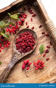 Ingrédient Herbacé Séché de Qualité Supérieure Berberis Vulgaris pour Produits Ayurvédiques, Extraits Herbacés et Compléments Alimentaires - Product Image 4