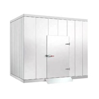 Unité de réfrigération mobile solaire Haier avec compresseur, chambre froide et congélateur, panneau de 120 mm d'épaisseur, moteur à roulement fiable