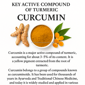 Natural Curcumin 100g Korean Premium Water Soluble Extract OEM - Product Image 5