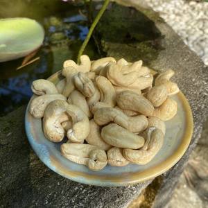 Delicious Cashew <b>Nut</b> <b>Kernel</b> Wholesale with Husked Low Fat Vietnam W240 W320 COMMON Raw Organic High Quality Cashew <b>Nuts</b> - Product Image 1