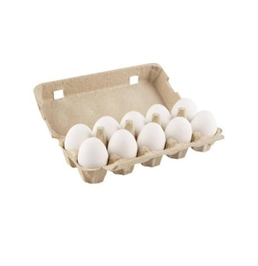 ไข่ไก่สดธรรมชาติพรีเมียมสีขาวและสีน้ำตาล ไข่แดงโปรตีนสูง เกรดอาหาร ขายส่งจำนวนมาก รับผลิตแบบ OEM - Product Image 4