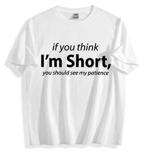Camisetas de Manga Corta Lisas, Casuales, de Gran Tamaño, 100% Algodón Tejido de 230 Gramos, de Alta Calidad al por Mayor, con Impresión Personalizada - Product Image 1