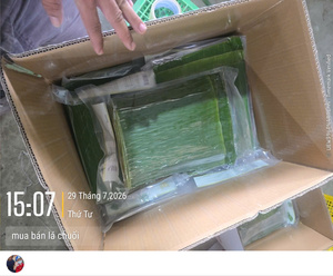 [VENTA EXITOSA] |   Hojas de Plátano Congeladas IQF a Granel, Grado A, Envasadas al Vacío, para Envolver Alimentos y Cocinar, Año Nuevo - Product Image 6