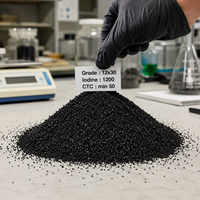 Charbon actif granulaire en coque de noix de coco 12x30 mesh, certifié ISO/NSF, Vitronexa Carbon, pour le traitement de l'eau potable municipale