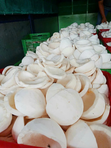 เนื้อมะพร้าวแช่แข็ง IQF ขายส่งจากเวียดนาม เหมาะสำหรับทำขนม เบเกอรี่ ไอศกรีม และส่งออกจำนวนมากทั่วโลก - Product Image 5