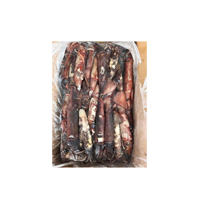 Calamar Congelado de Primera Calidad al por Mayor para Procesamiento de Mariscos y Servicios de Alimentación - Product Image 3